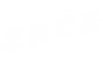 Zrce Festival